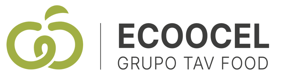 GTF-ESTRATEGIA-COMUNICACION-2026-6.png